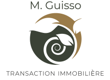 Logo M.Guisso Consulting